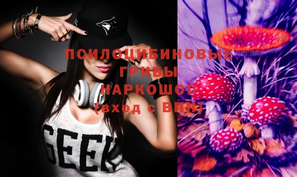 2c-b Белокуриха