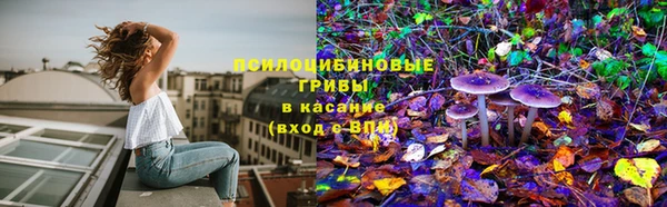 2c-b Белокуриха